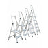 Monstar Pro Slimline Platform Ladder - 150kg